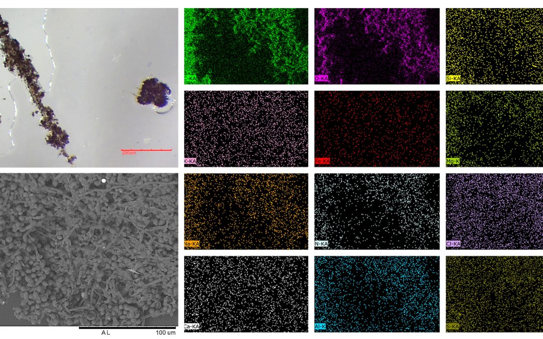 Dust Characterisation Case Study using Optical Microscopy and Scanning Electron Microscopy (SEM)